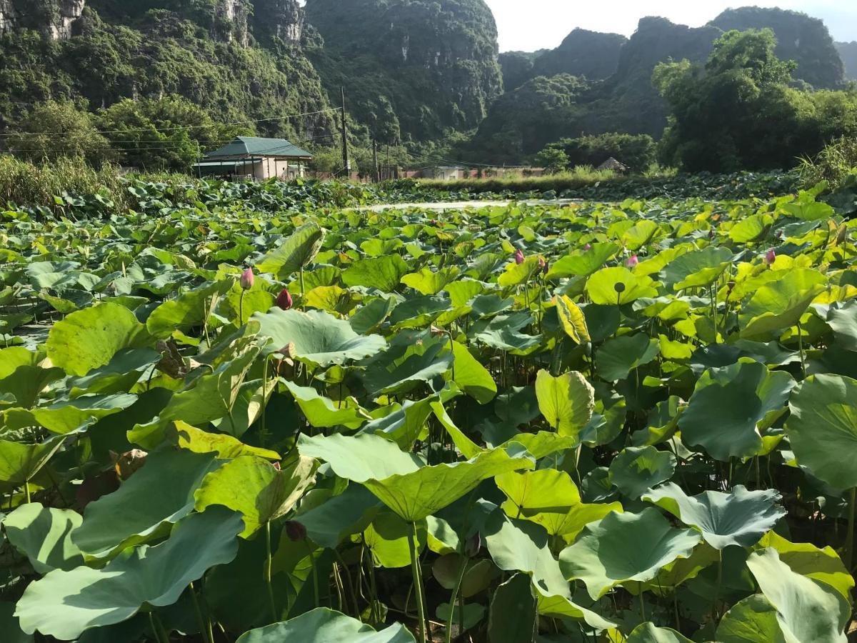Hotel Trang An Lim Garden Xuan Son Zewnętrze zdjęcie